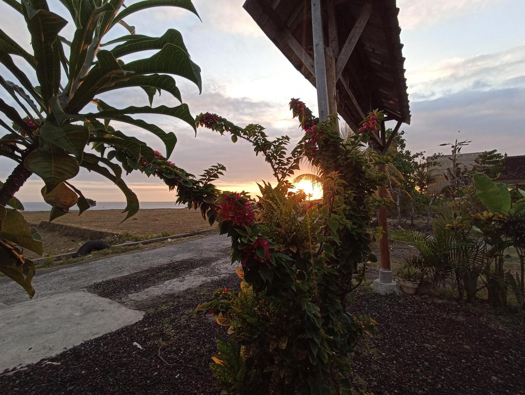 Apartamento Ayolah Surf House &Surf Camp Jembrana Exterior foto